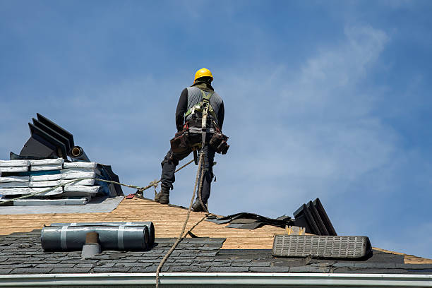 Professional Roof Replacement technician working in Colfax, ND